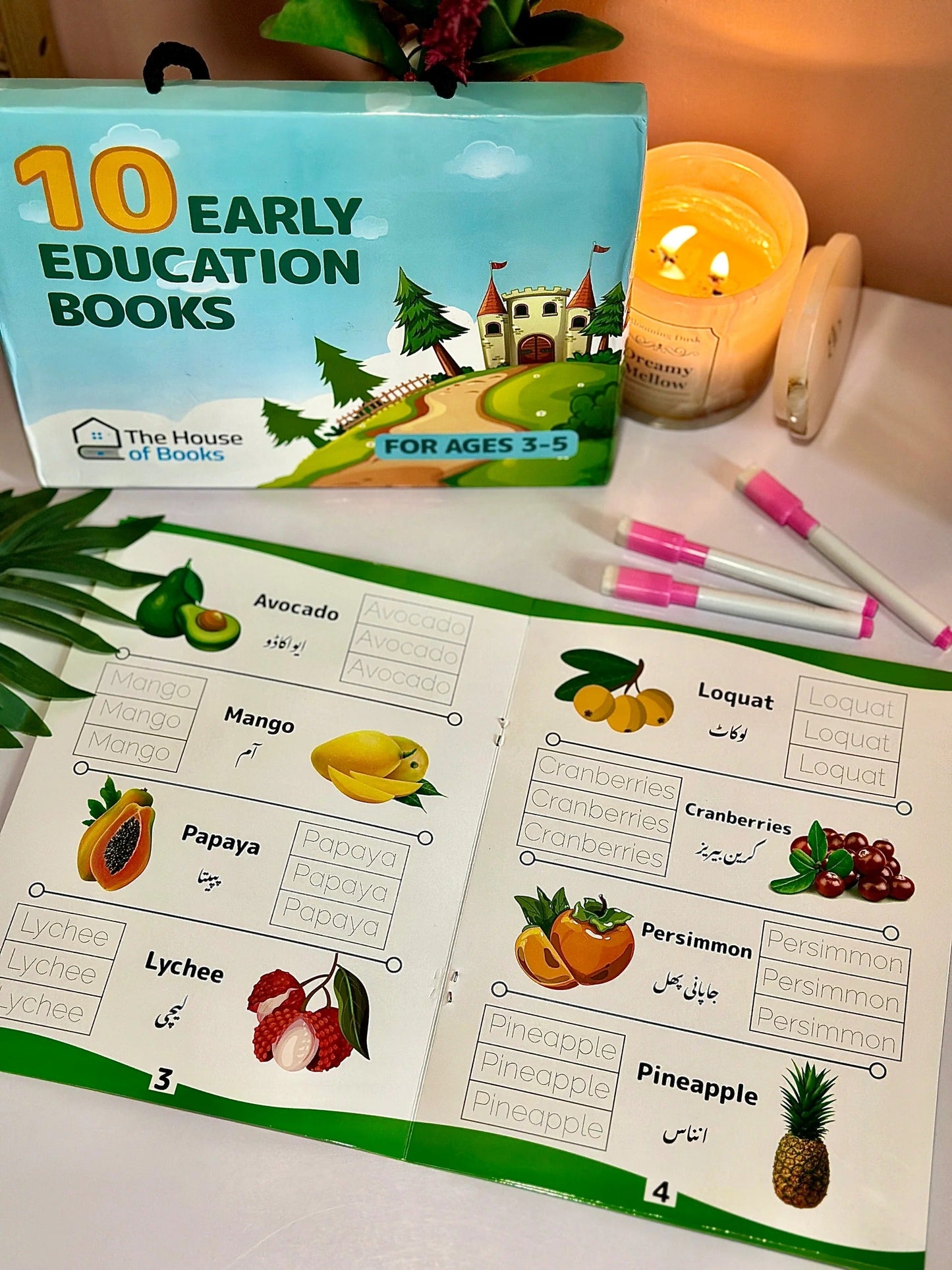 Write & Wipe Children Learning Book Set